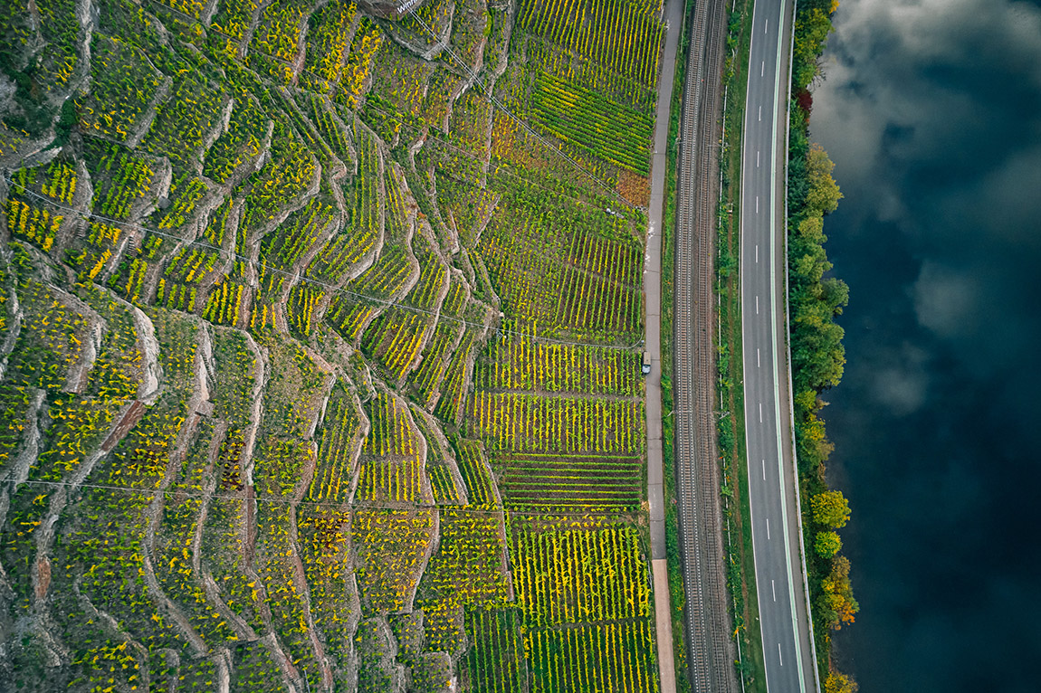 Knebel winery’s vineyards. Photo: Peter Bender