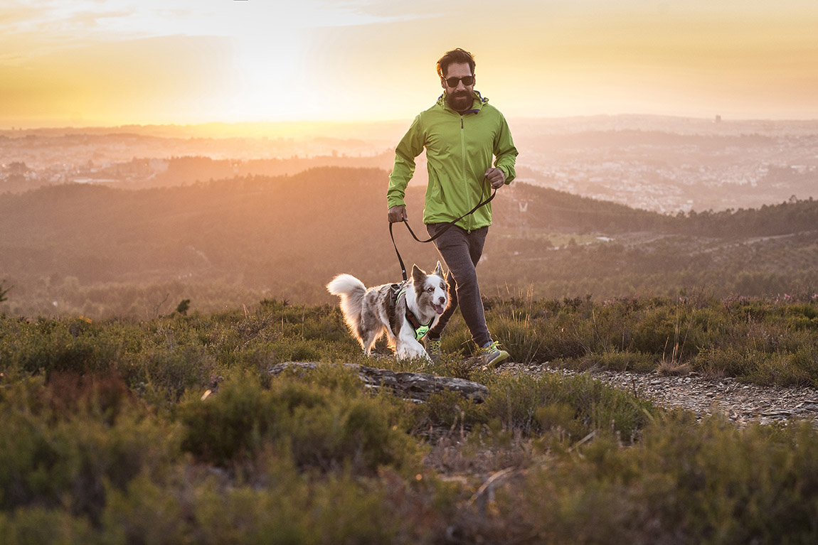 Julius-K9®: Invention inspired by empathy: The LONGWALK dog harness