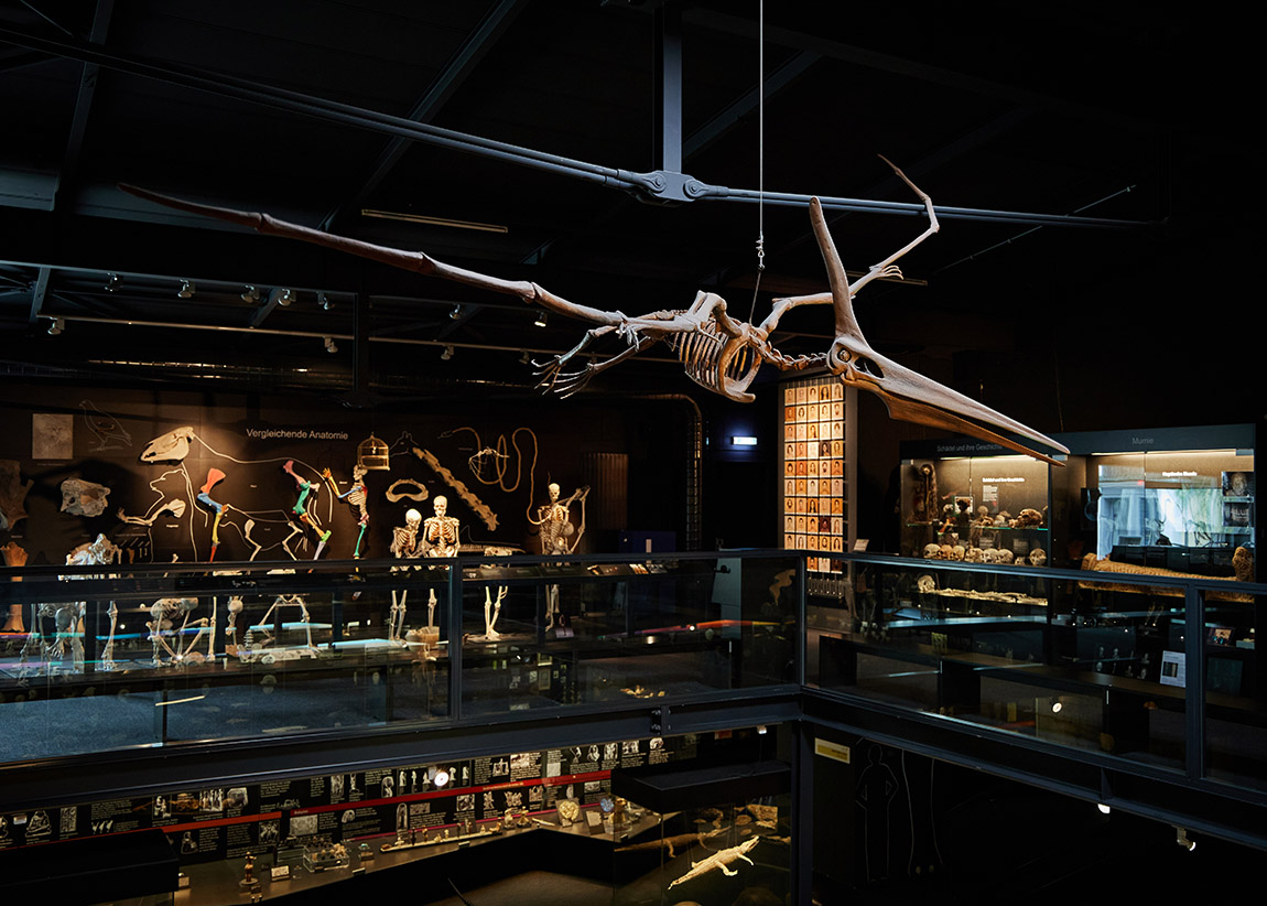KULTURAMA Museum of Human Evolution - where human evolution comes to life