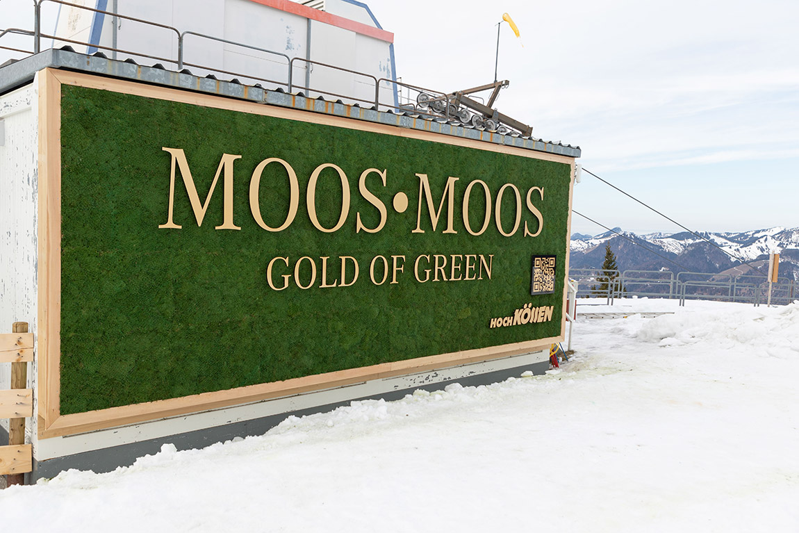 Green miracle finds urban spaces - discover sustainable moss walls by Moos•Moos