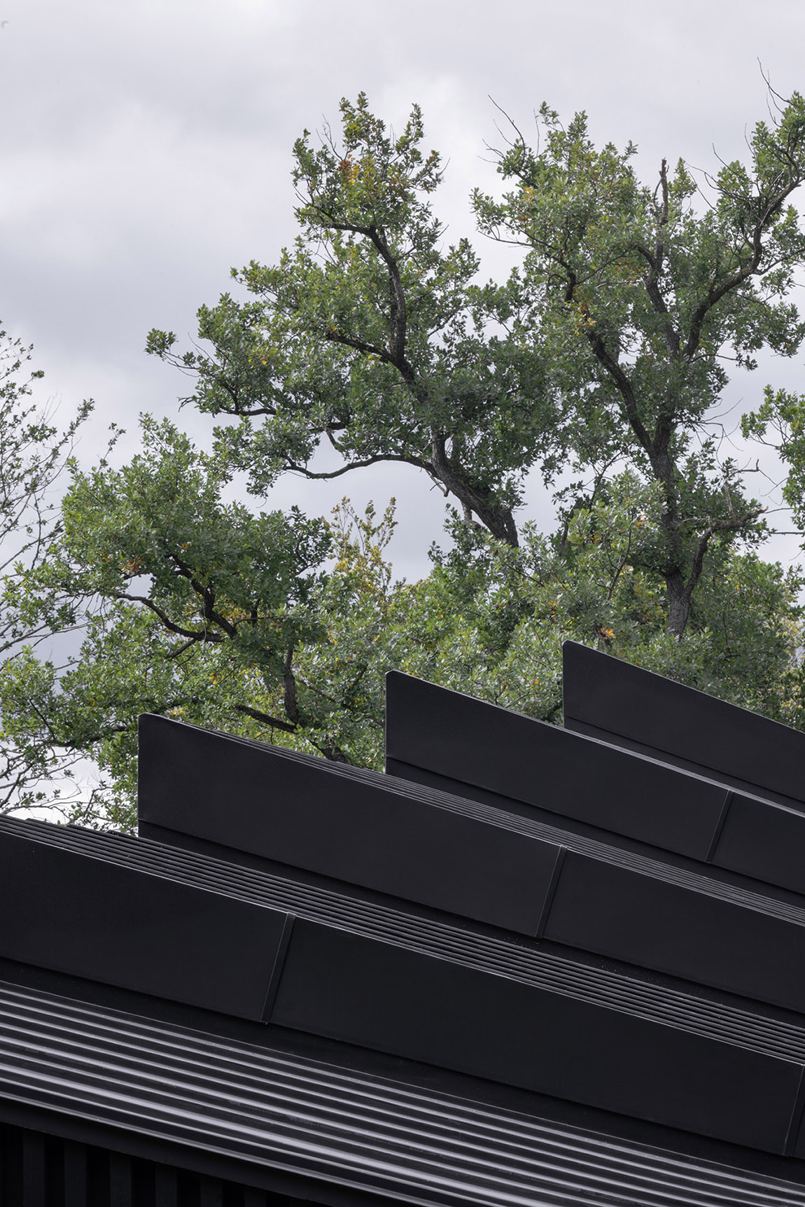 Haus am See, Dachdetail. Foto: Florian Holzherr | Appels Architekten Robust, zeitlos, schön