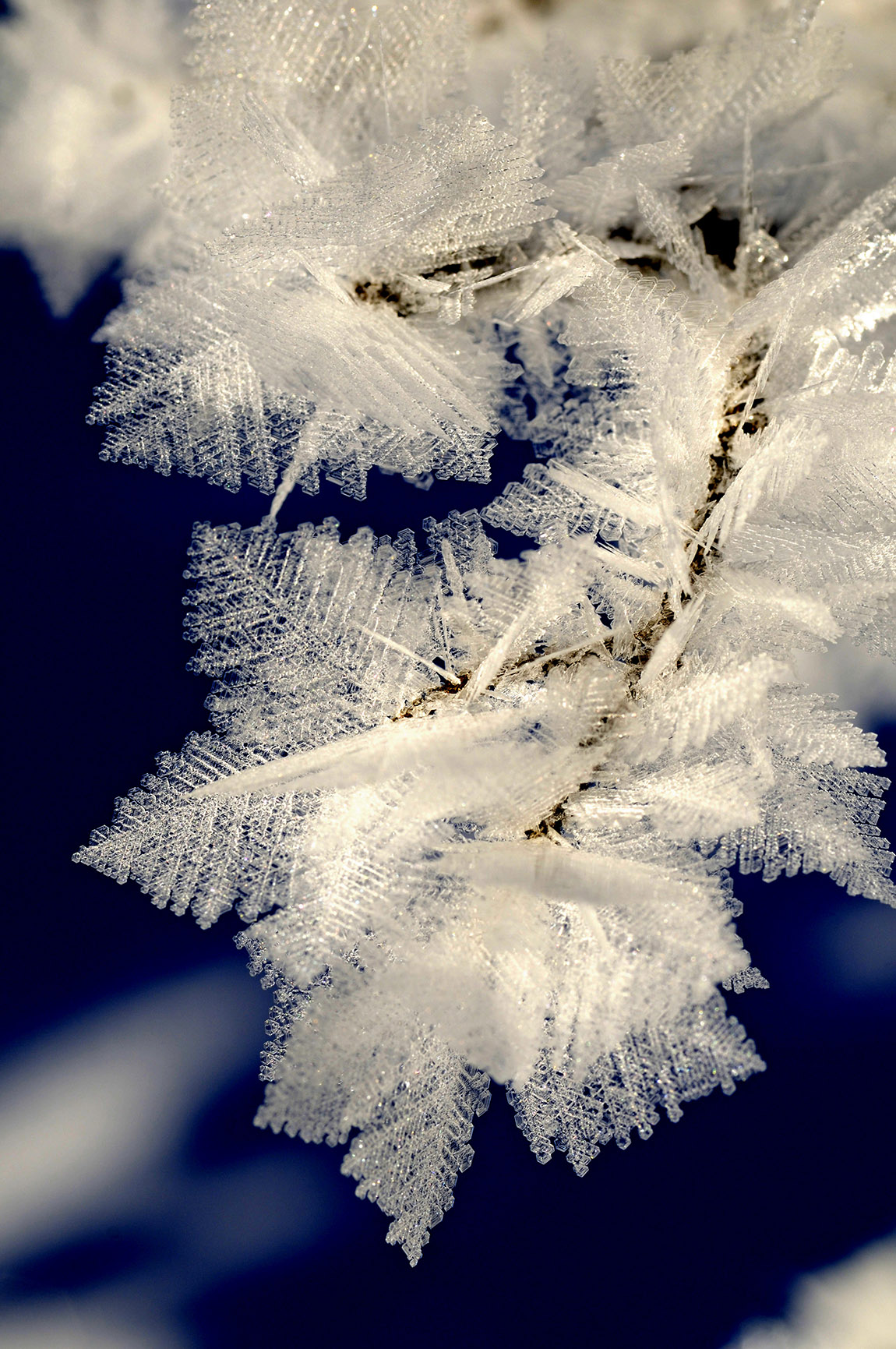 Delicate snow crystals in the bitter cold of the early morning | Reit im Winkl – A winter wonderland for cross-country skiing