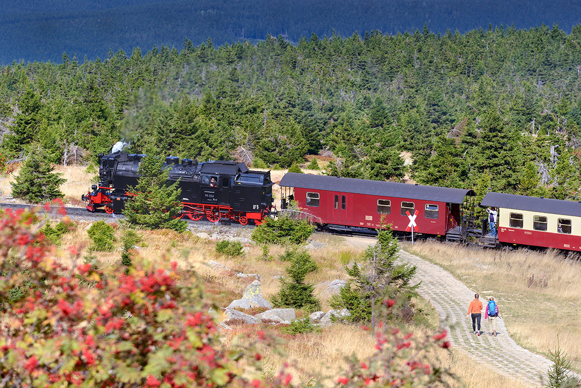 The Harz Narrow Gauge Railway. Photo: GNTB/Francesco Carovillano