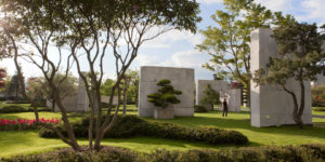 Enea Tree Museum: Nature as a habitat