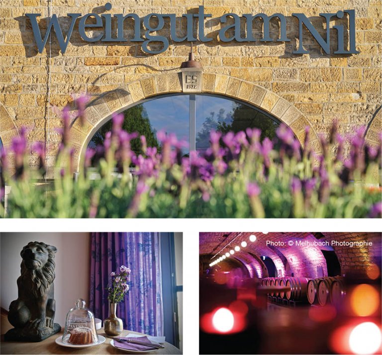 Weingut am Nil Discover quality wines Discover Germany