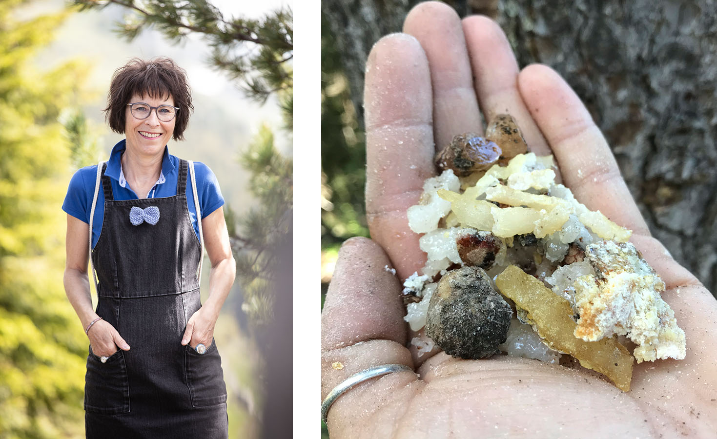 FORAGING FOR SUPERFOOD – A HIKE THROUGH THE ALPS
