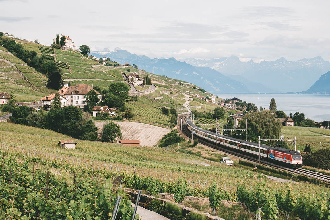 7 arno-senoWALK, INDULGE, LEARN: OUR TOP-FIVE WINE HIKING TRAILS - Discover Germany November 2021