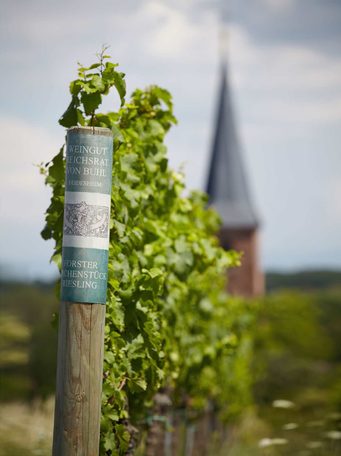 WEINGUT REICHSRAT VON BUHL: TRADITIONAL CRAFTSMANSHIP