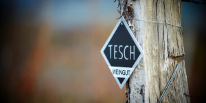 TESCH VINEYARD: A TASTE OF JOY
