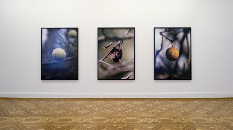 The Art Museum Thun: A MUSEUM THAT HIGHLIGHTS MODERN ART AND THE WORLD’S OLDEST PANORAMIC PAINTING