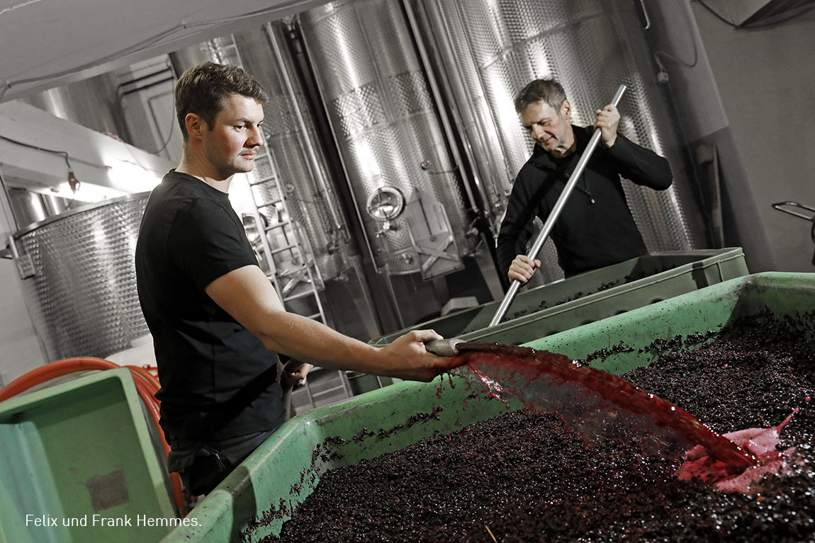 Hemmes winery: COMPLEX WINES – AND PLENTY OF PASSION