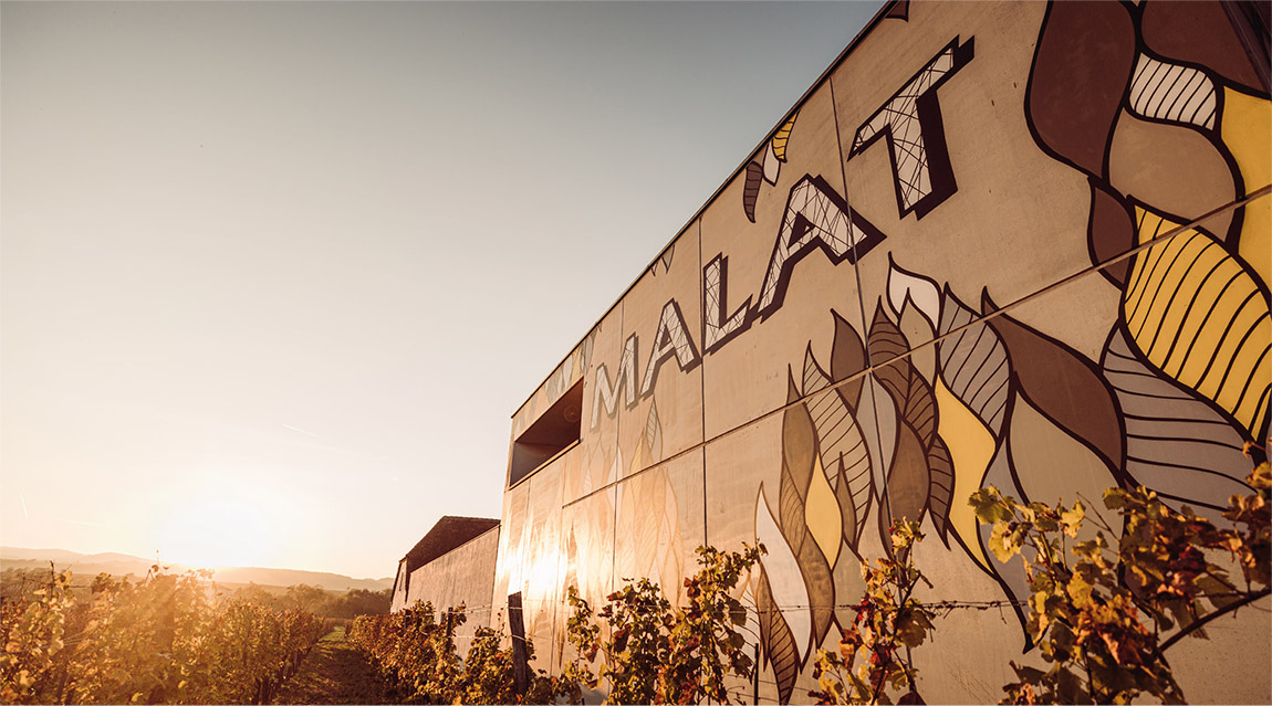 Malat: CENTURY OLD VITICULTURE AND OUTSTANDING HOSPITALITY COMBINED IN ONE VINEYARD