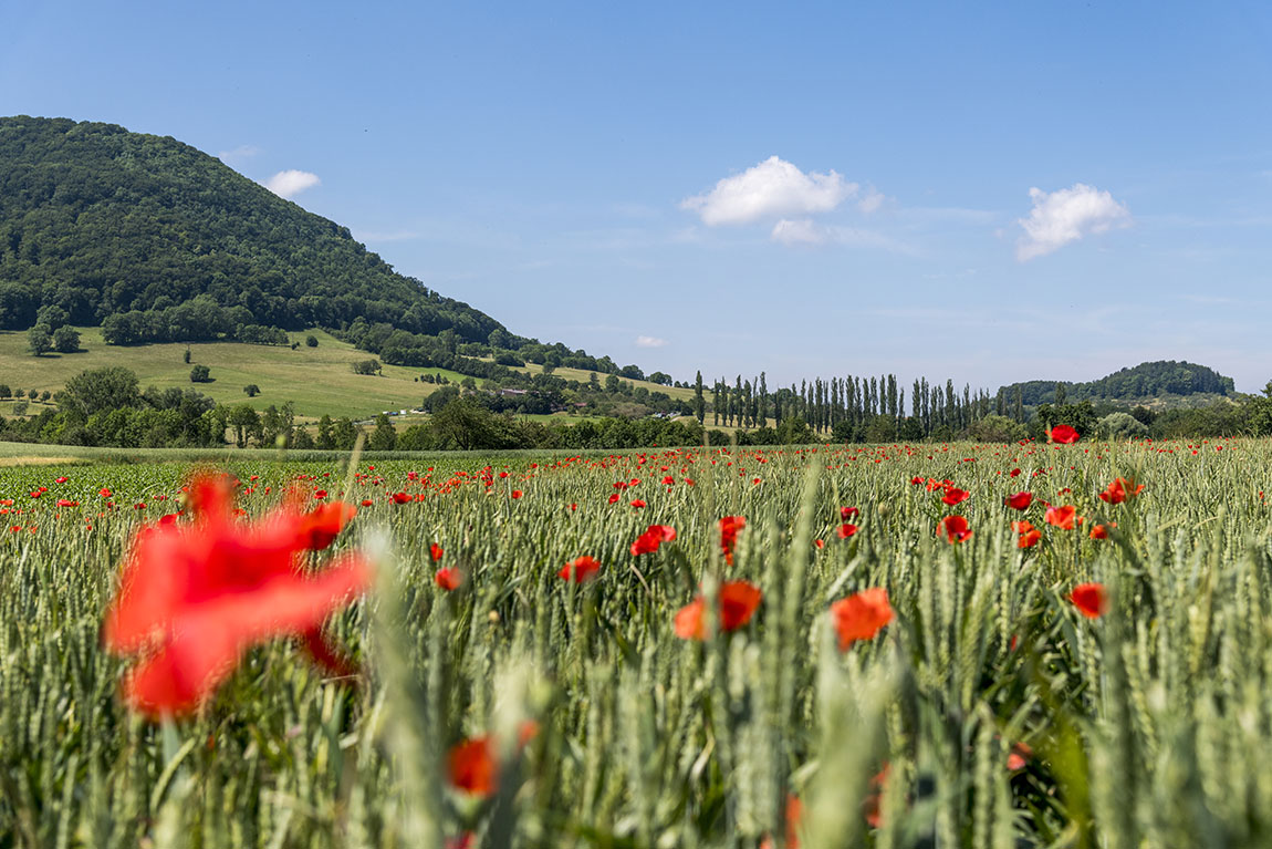 SPECIAL THEME: BADEN-WÜRTTEMBERG - GERMANY’S SUNNY SIDE: A Land of enduring traditions and modern fun