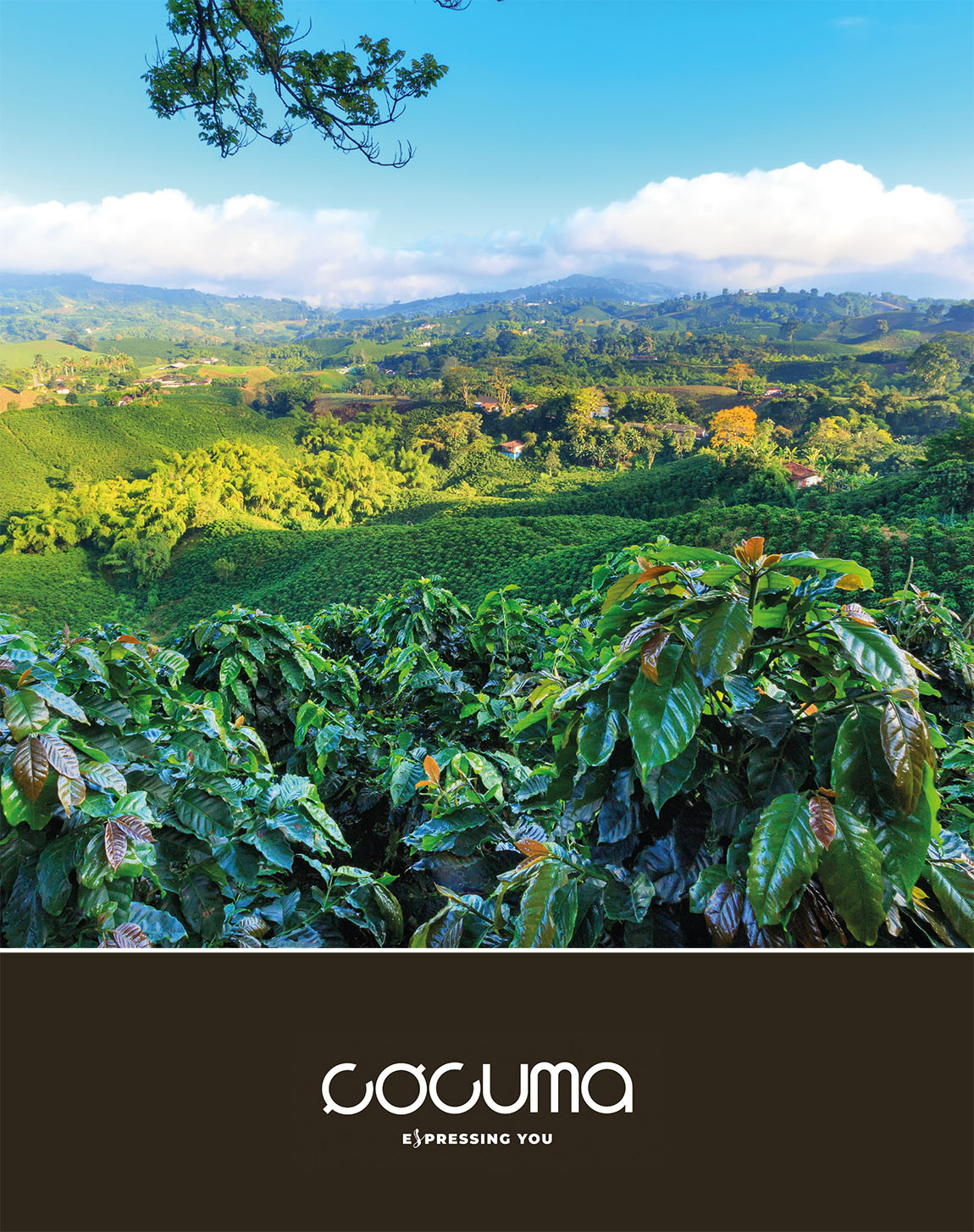 COCUMA Caffè: THE THOUSAND FLAVOURS OF OUTSTANDING COFFEE