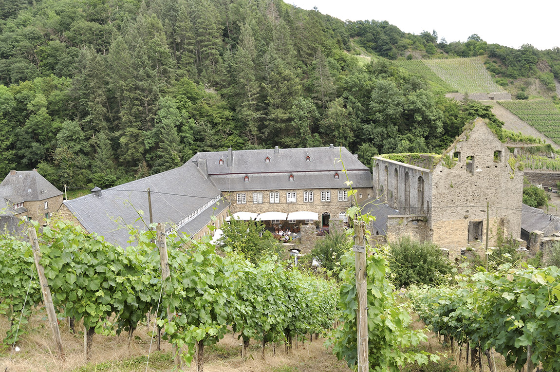 AFOOT ON GERMANY’S RESURRECTED RED WINE ROAD