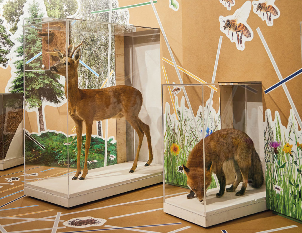 Kulturama Museum of Human Evolution in Zurich: EARTH AT ITS LIMITS TEMPORARY EXHIBITION IN ZURICH