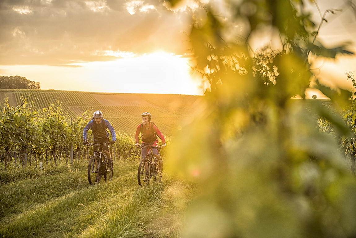 Mountain bike park Palatinate Forest. Photo: GNTB, Mountainbikepark Pfälzerwald e.V. /Andreas Meyer, World of MTB