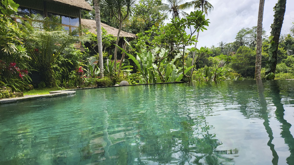 BALI-HAUS: NEW MIND, BODY AND SPIRIT: 1:1 RETREATS IN LUXURY NATURE OASES IN BALI AND SWITZERLAND
