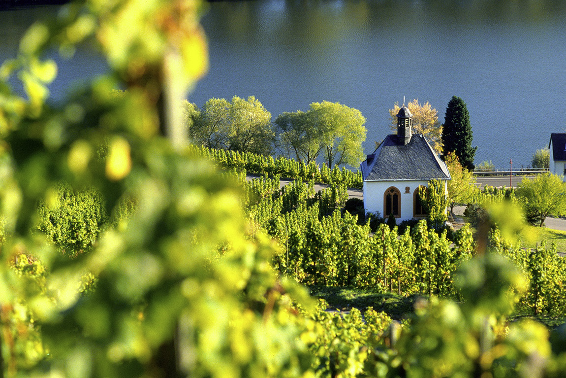 TOP FIVE WINE REGIONS ACROSS THE DACH REGION