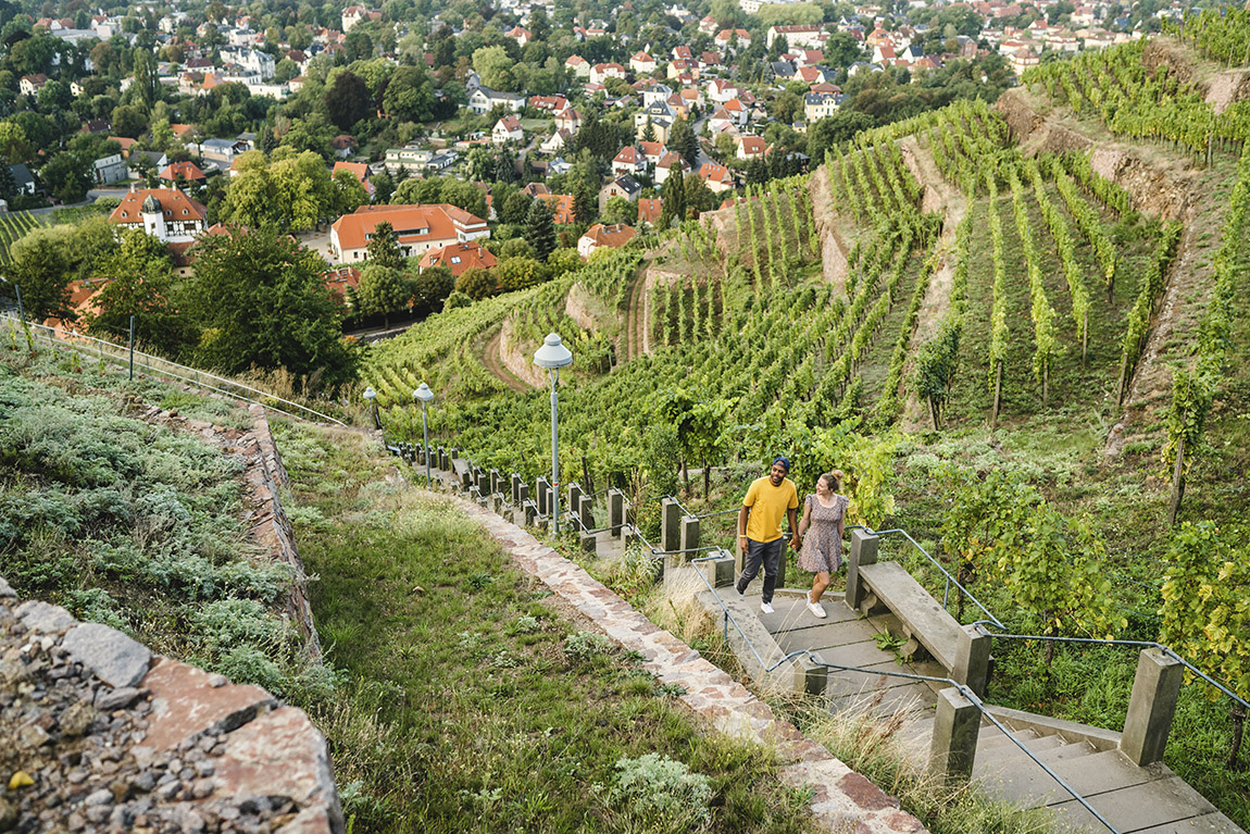 TOP FIVE WINE REGIONS ACROSS THE DACH REGION