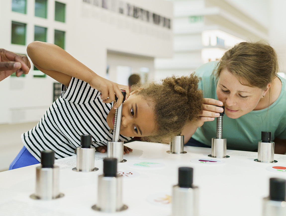 Deutsches Hygiene-Museum: THE HUMAN BODY UP-CLOSE