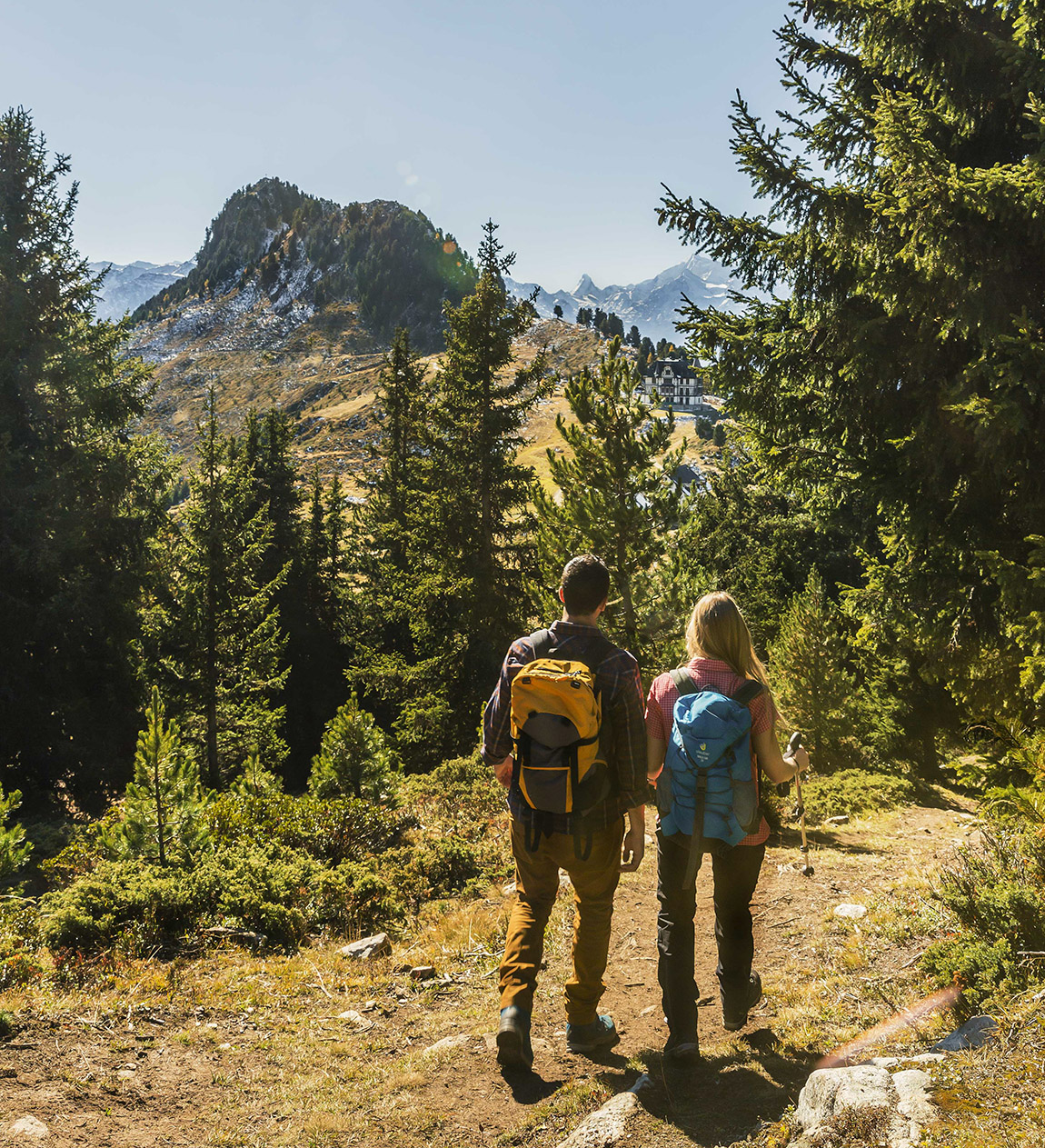 Forest Treasures: Foraging in Mountain Forests