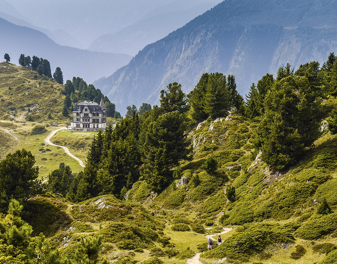 Forest Treasures: Foraging in Mountain Forests