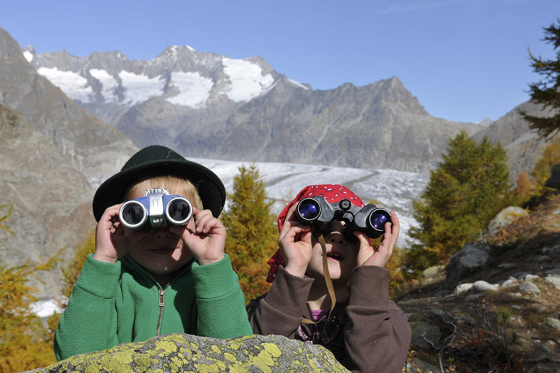 Forest Treasures: Foraging in Mountain Forests