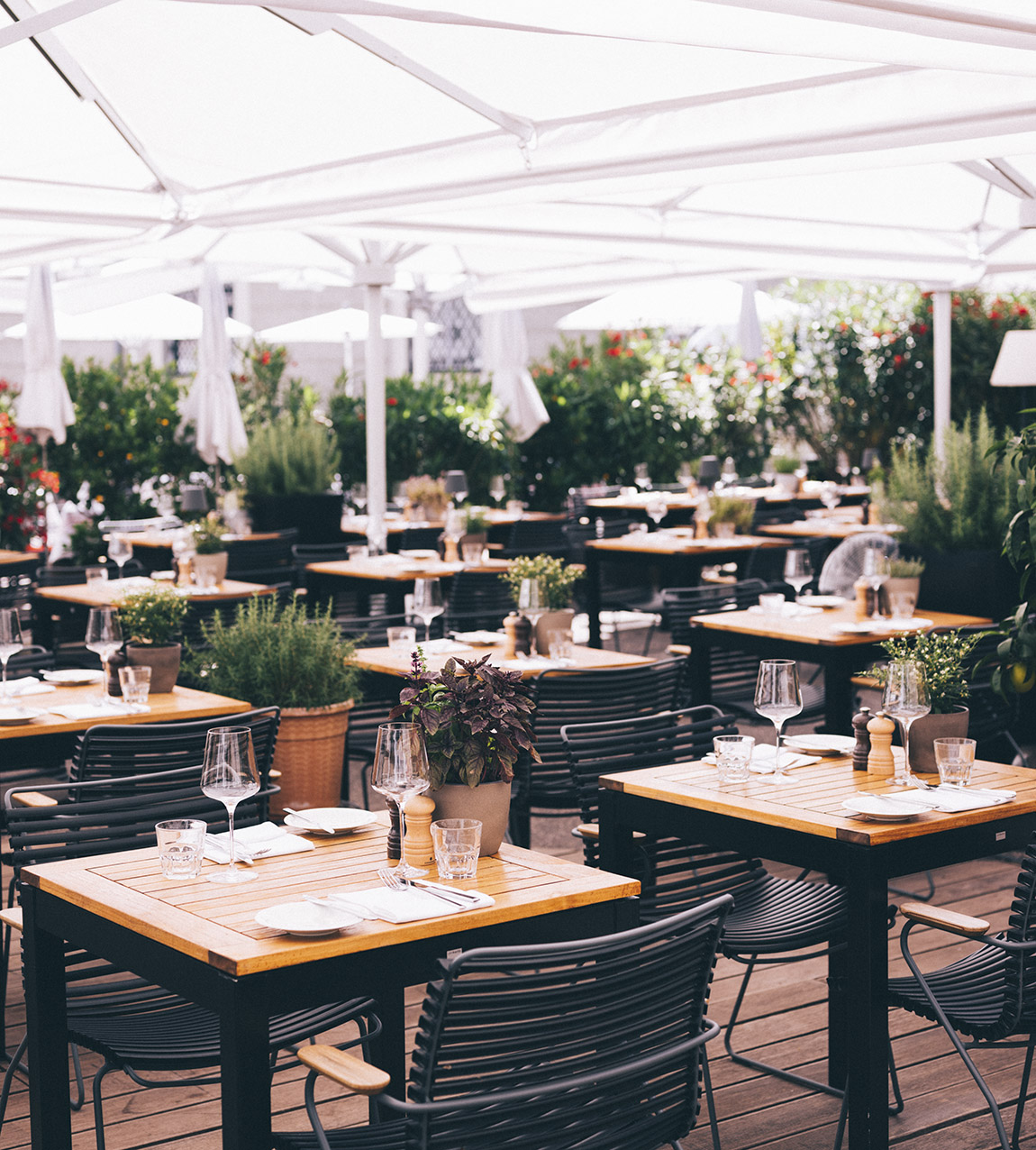 Arthotel Blaue Gans: INNOVATION UND VERWANDLUNG ...AN EINEM GANZ BESONDEREN ORT