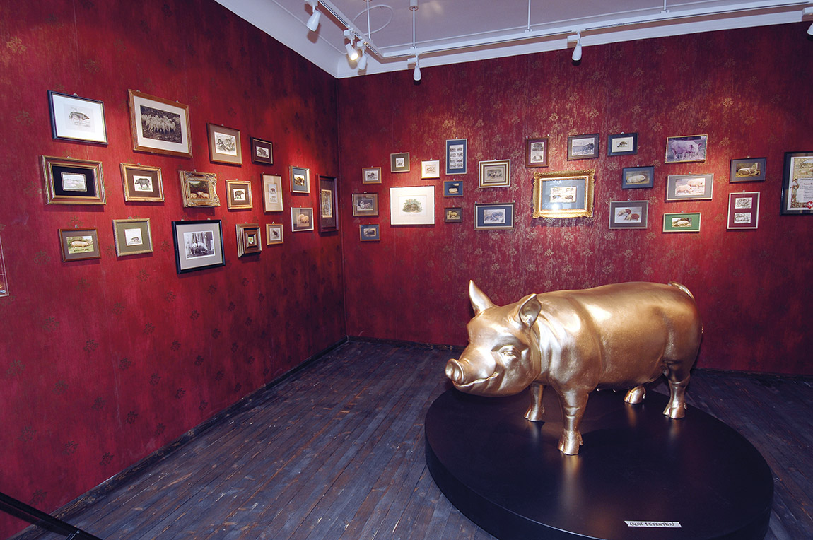 The Top 8 Quirkiest Museums and Collections in Germany