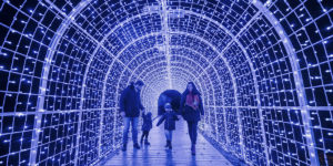SPARKLING LIGHT ART AT CHRISTMAS GARDEN