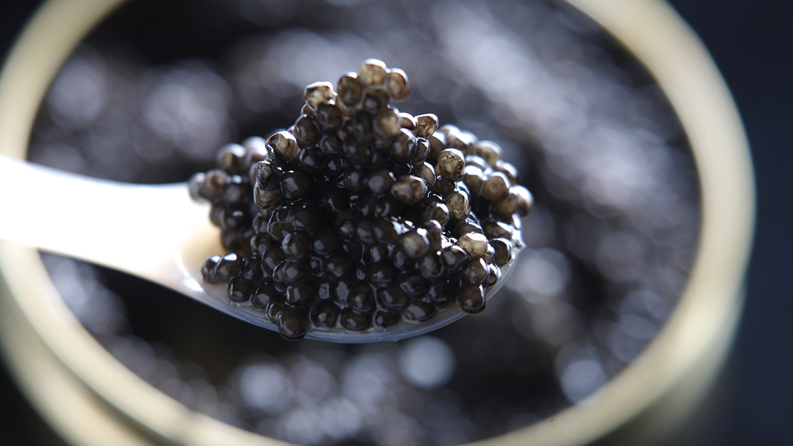 Oona Caviar: A celebration of freshness