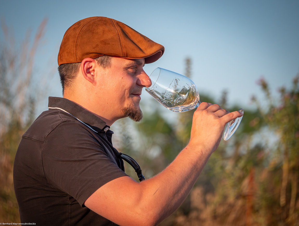 Organic Winery Georg Toifl: Distinctive wines with character