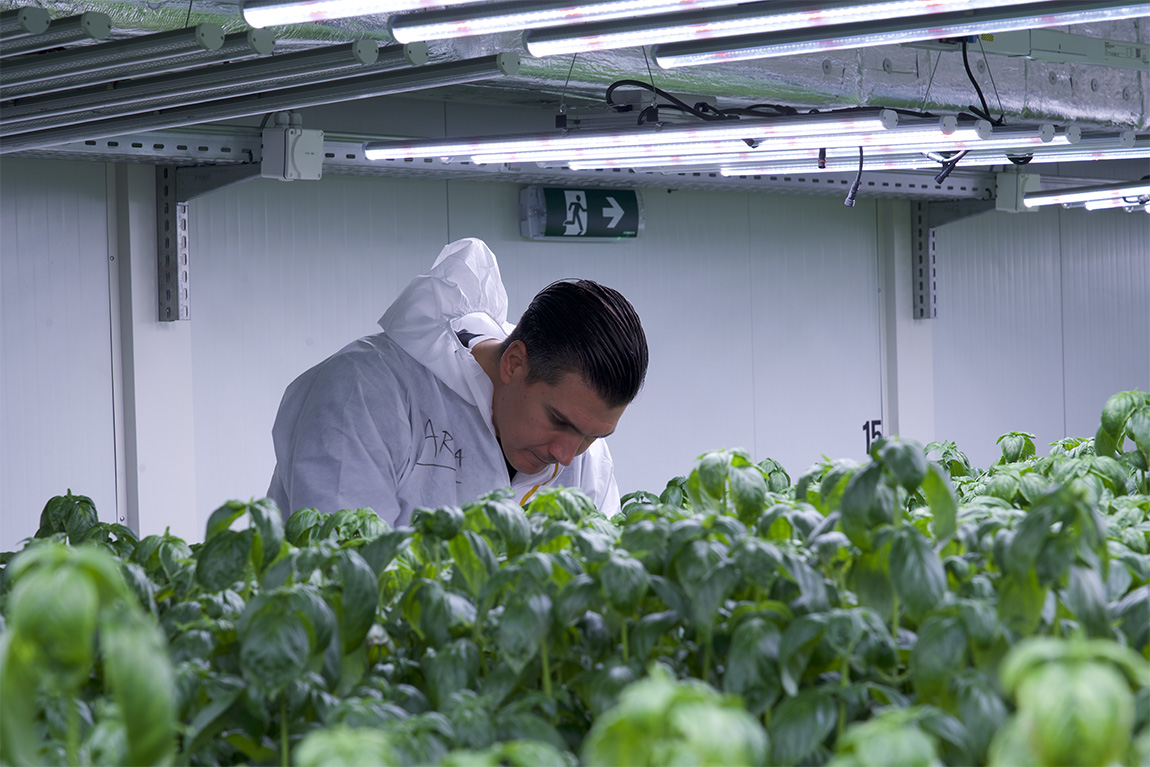GreenState AG: Revolutionising vertical farming and finance with artificial intelligence