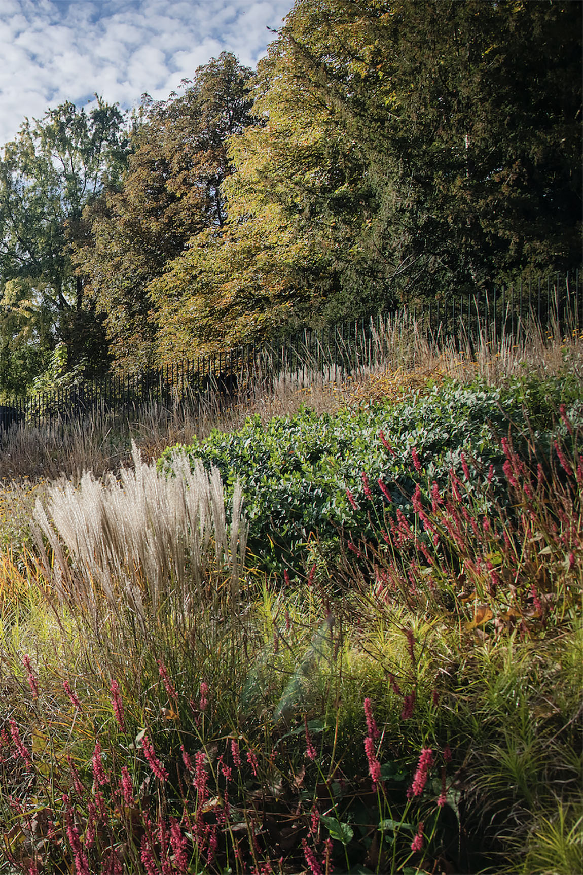 POLA Landschaftsarchitekten: Poetic landscapes