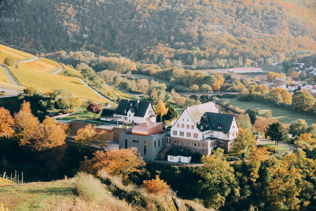 Gut Hermannsberg: Great Terroir Rieslings from the best steep slopes