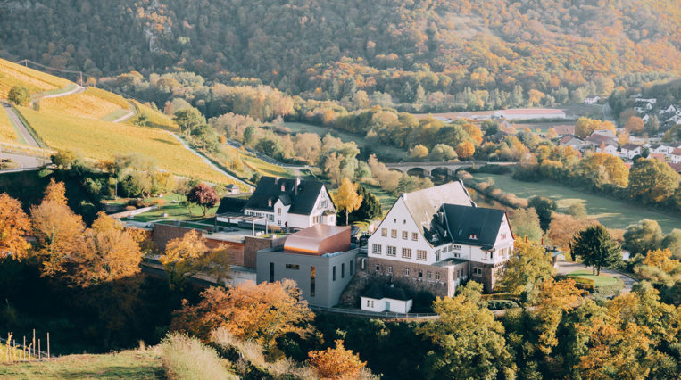 Gut Hermannsberg: Great Terroir Rieslings from the best steep slopes