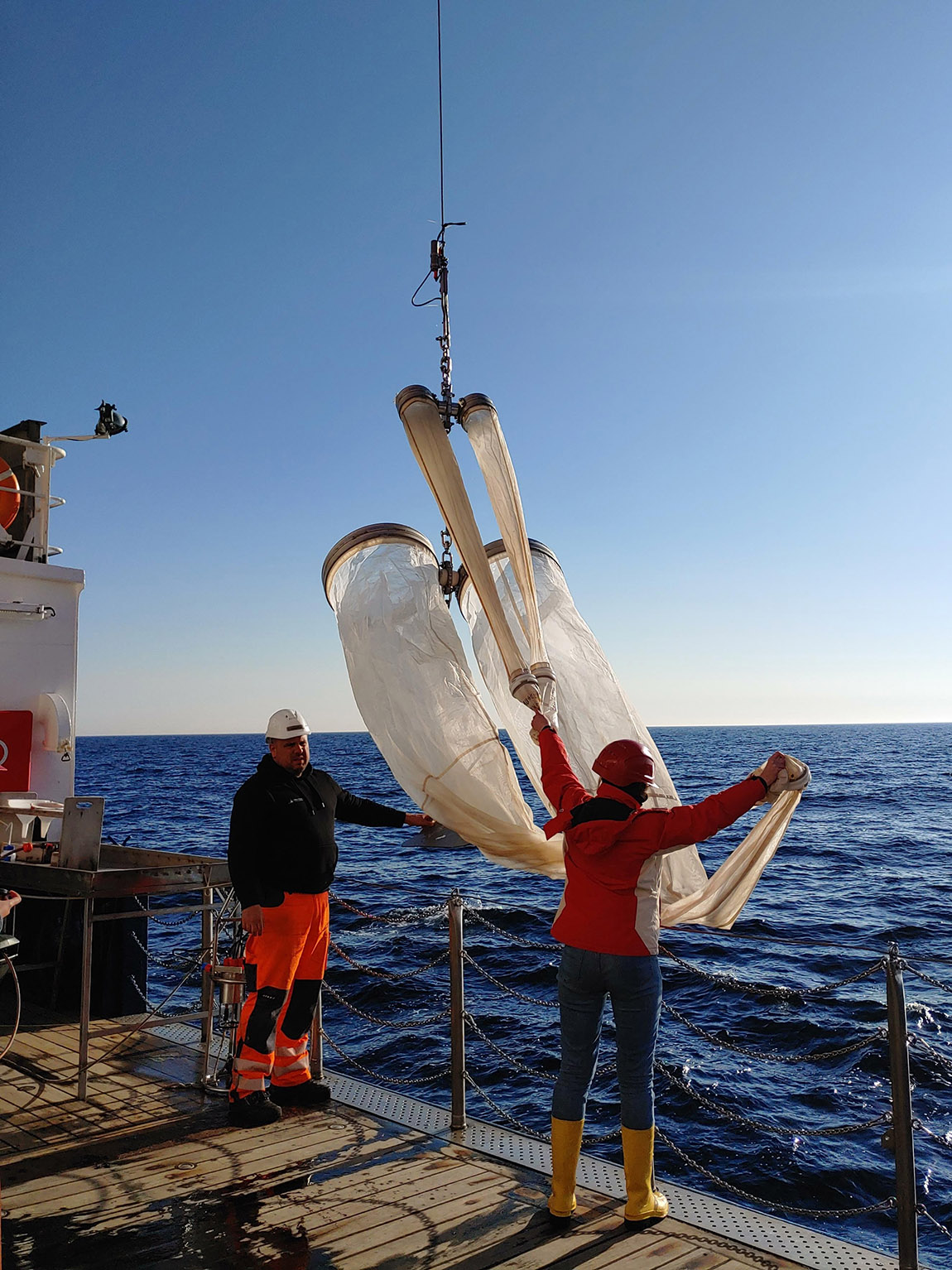 Protecting the Baltic Sea – one seagrass plant at a time