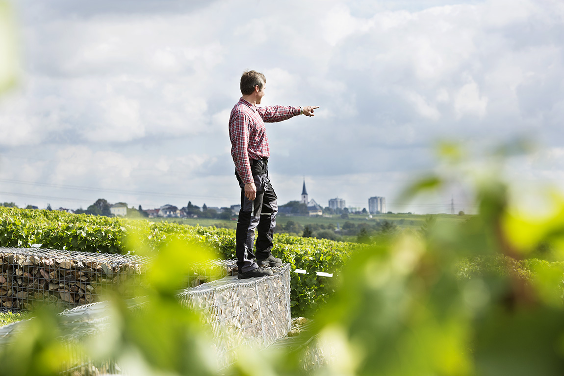 Weingut Künstler: Tradition and Taste