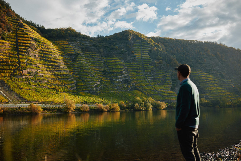 How Germany’s landscape shapes its wine