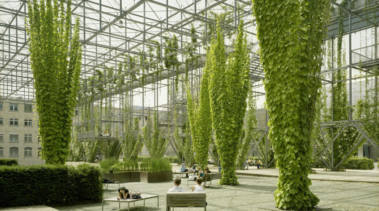 Burckhardt – Architecture and Innovation