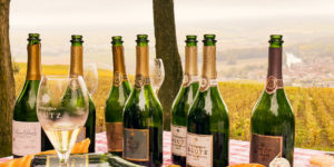 Best German Wineries