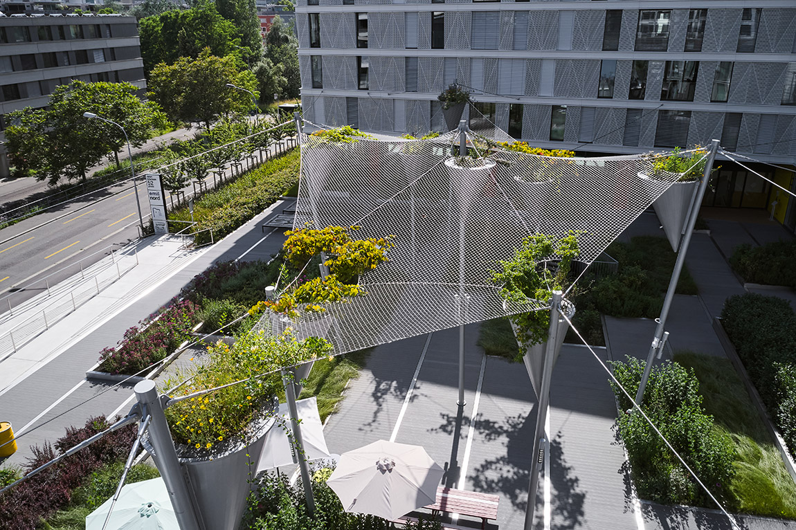 Schattendach Oerlikon: An interplay of light and shade is created under the green roof.