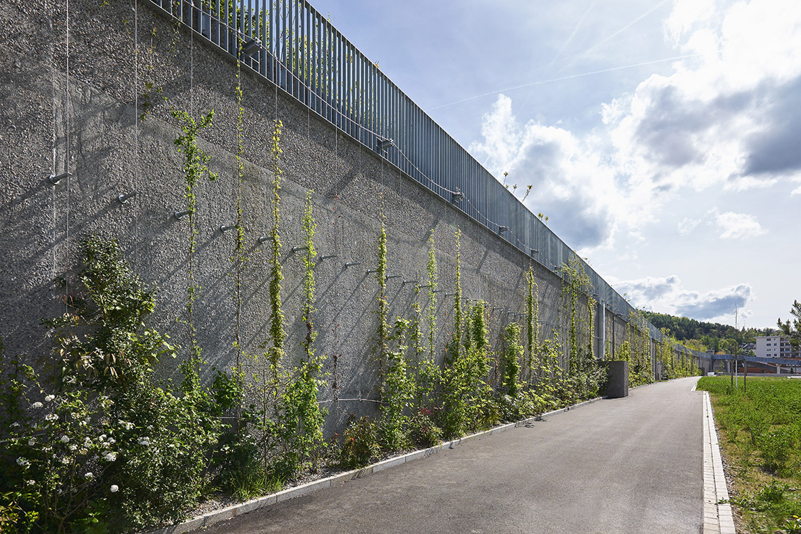 Green walls with climbing structures: climbing plants grow on stainless steel ropes from Jakob Rope Systems at Ueberlandpark Zurich.