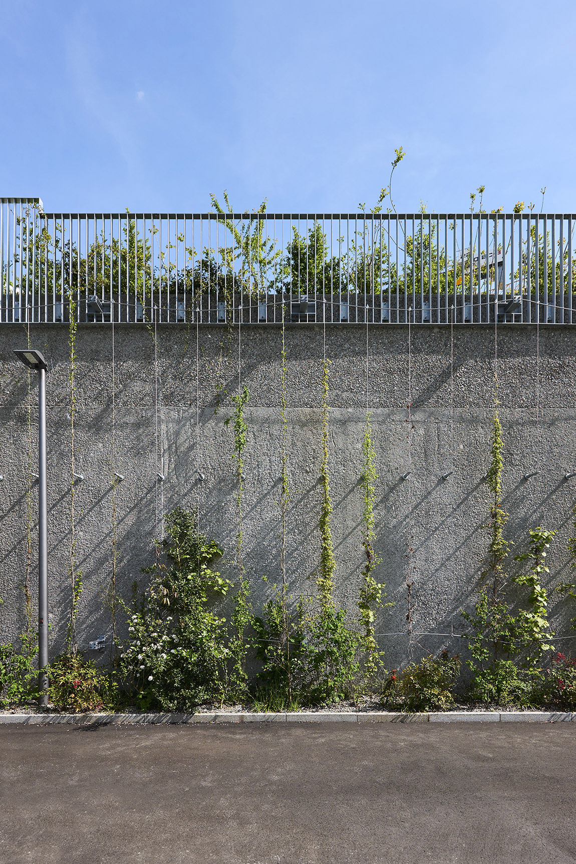 Green walls with climbing structures: climbing plants grow on stainless steel ropes from Jakob Rope Systems at Ueberlandpark Zurich.