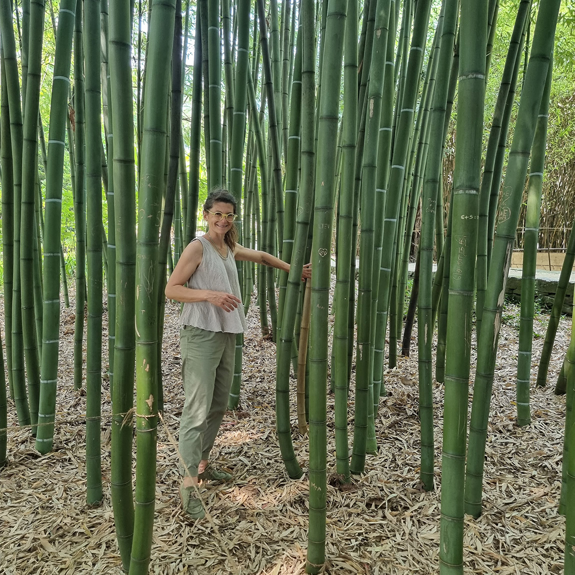 Guide Simone Schmid amongst bamboo trees.