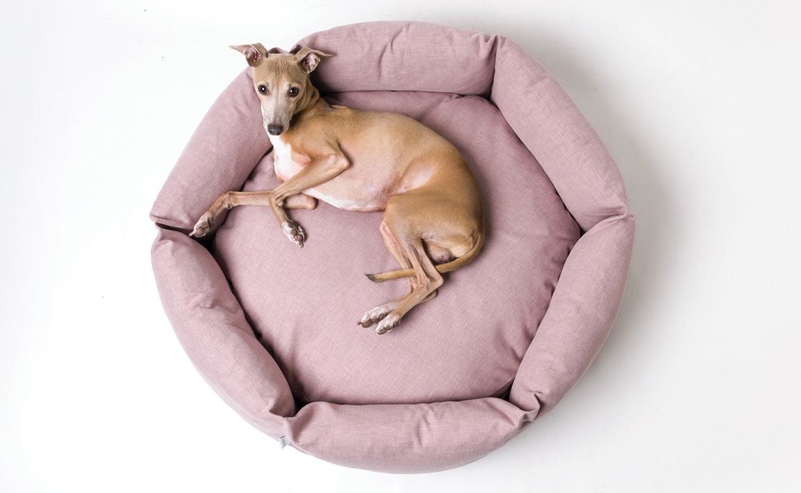 Dedicated to Design: October 2025