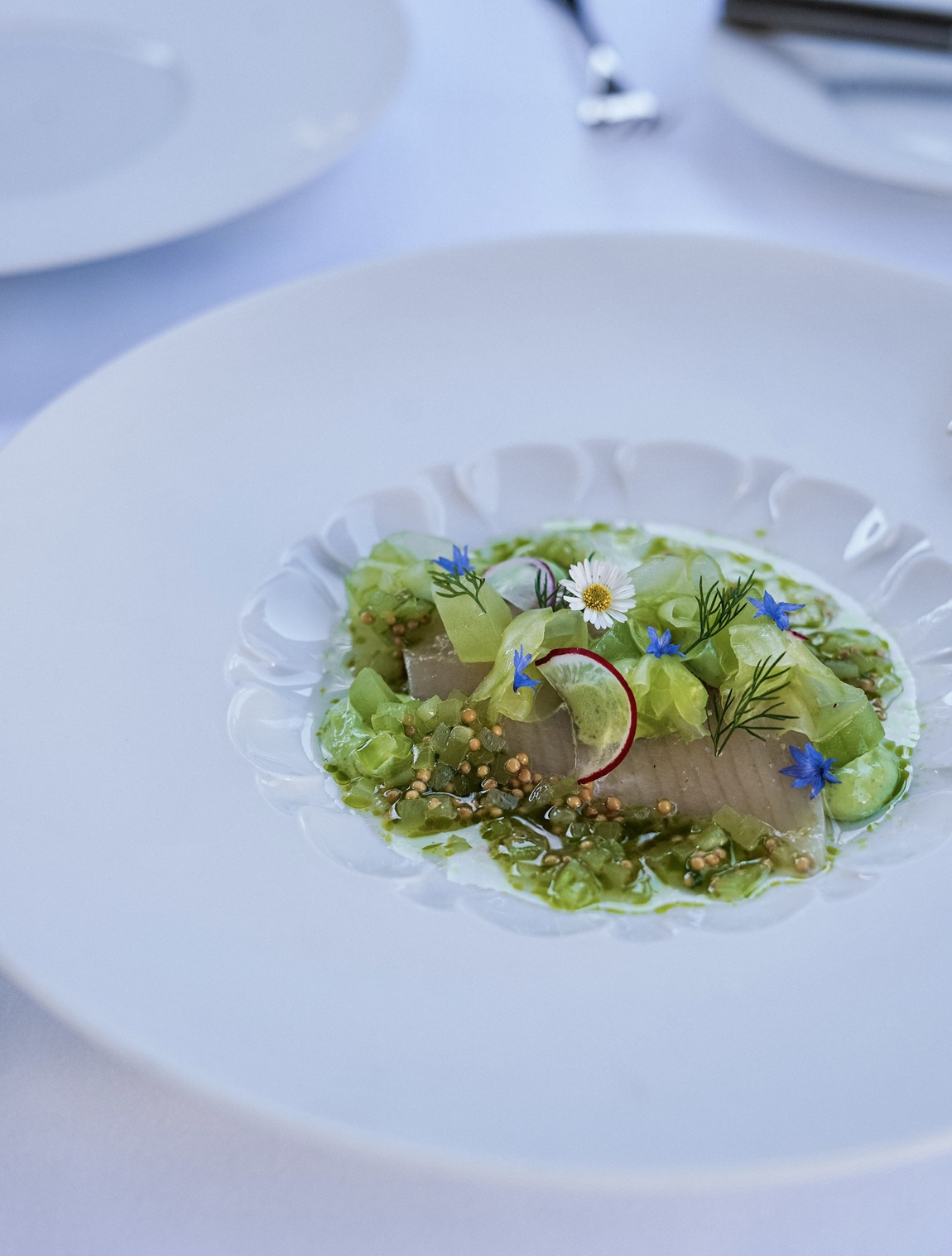 Dish from the Traubensaal menu. Trout – Brüggli trout from Sattel (SZ), dill cream, onion ceviche, mustard seeds, cucumber. Photo: Juliet Havryliuk | Gasthaus Traube: Discover Werdenberg… and linger at the Traube