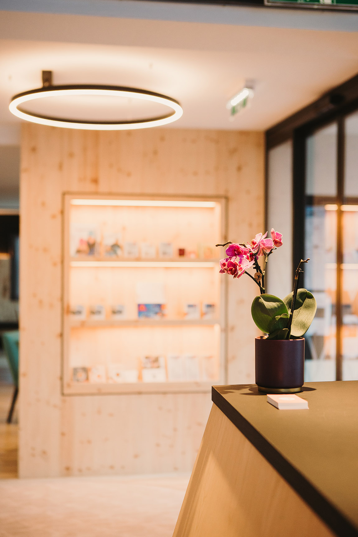 Alpin – Studios & Suites: Skiing fun and mountain adventures right at the doorstep