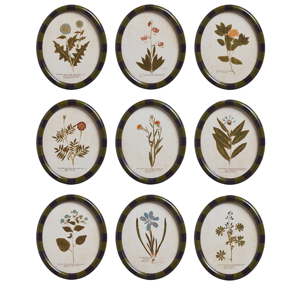 Dedicated to Design: November 2025